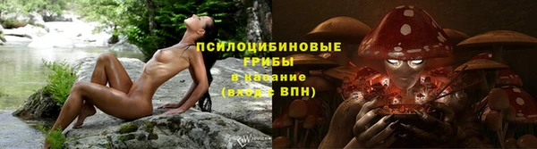 круглые Магас