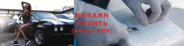 PSILOCYBIN Козловка