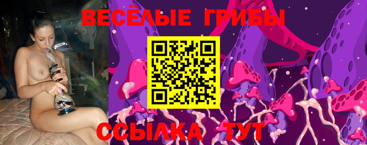 Псилоцибиновые грибы прущие грибы Дюртюли