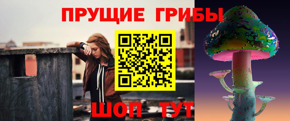 Псилоцибиновые грибы GOLDEN TEACHER  Вход с VPN  Дюртюли 