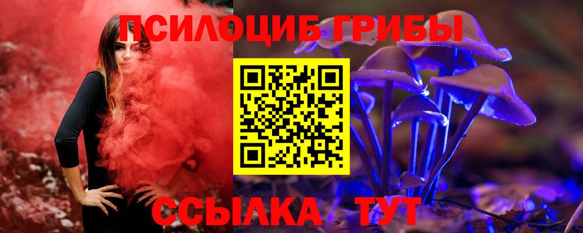 Галлюциногенные грибы прущие грибы  Галлюциногенные грибы Psilocybe  Дюртюли 