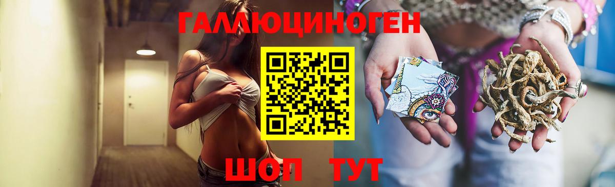 Псилоцибиновые грибы GOLDEN TEACHER Дюртюли